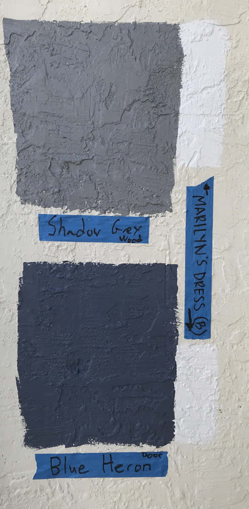 Picture of proposed paint colors